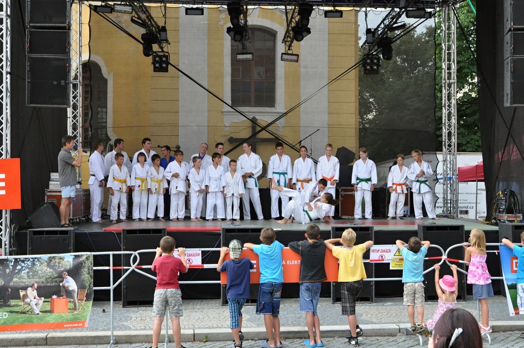 ukazky 2012__14.JPG